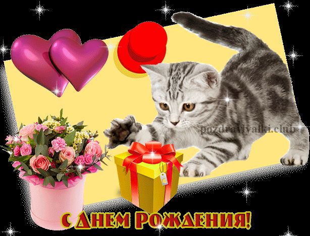 С Днем Рождения Котенок открытка гифка мерцющая