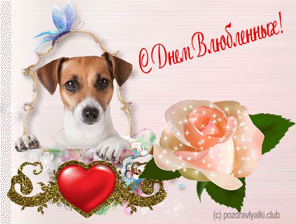 С днем влюбленных красивая гиф открытка на день святого валентина