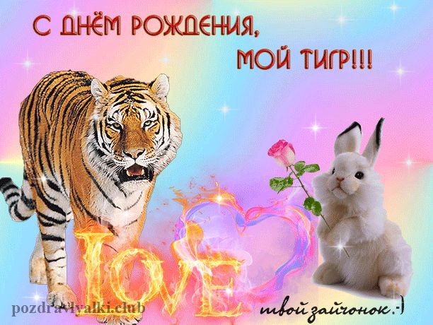 С Днем Рождения мой тигр твой зайчонок Открытка красивая уникальная