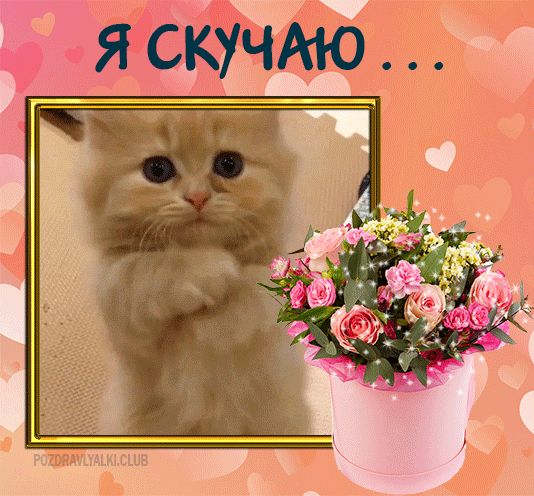 Картинка для вайбера ватсап я скучаю девушке парню гиф котенок