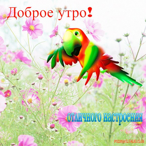 доброе утро отличного настроения - картинка открытка мерцающая