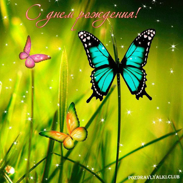 С Днем рождения открытка с бабочкой