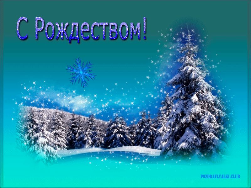 С рождеством открытка поздравительная ели снежные