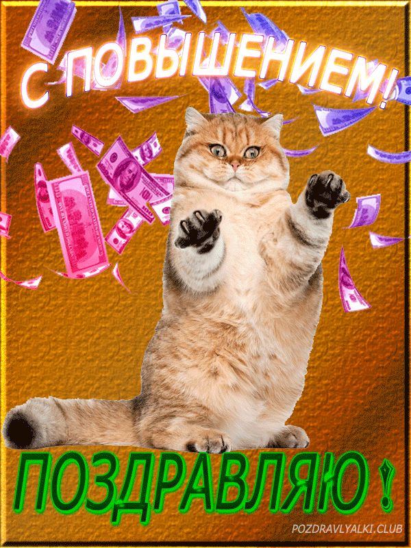 Поздравляю с повышением открытка деньги