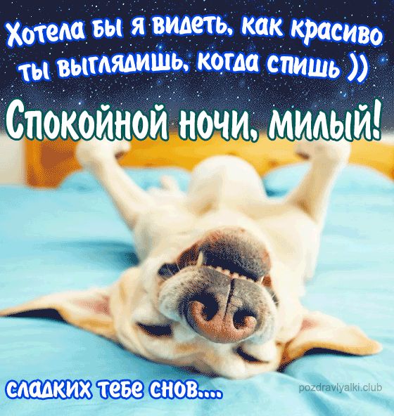 Спокойной ночи милый открытка парню прикольная