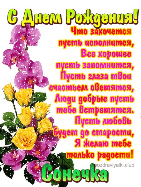 С Днем Рождения Сонечка открытка красивая именная