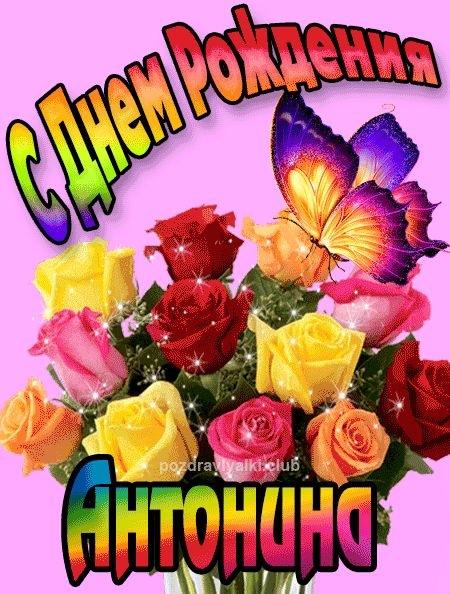 Антонина с Днем Рождения картинка