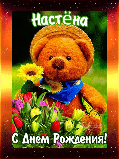 С Днем Рождения Настёна открытка с мишкой