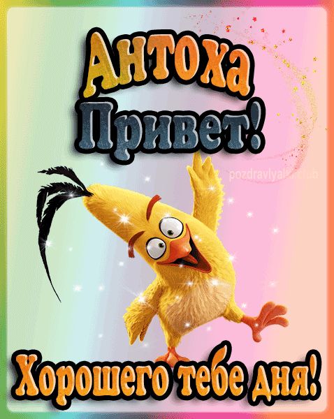 Привет Антоха хорошего тебе дня открытка гифка