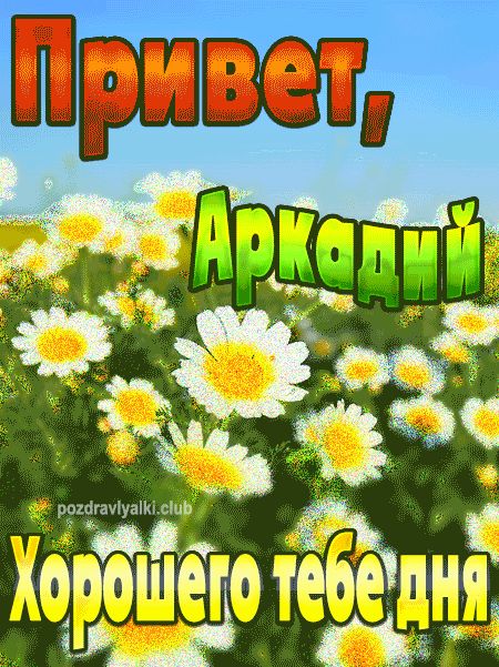 Привет Аркадий хорошего тебе дня картинка