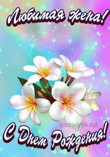 Любимая Жена с днем рождения открытка