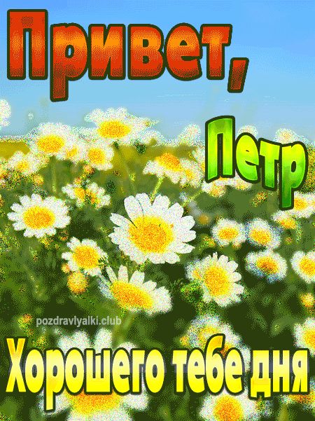 Привет Петр хорошего тебе дня открытка