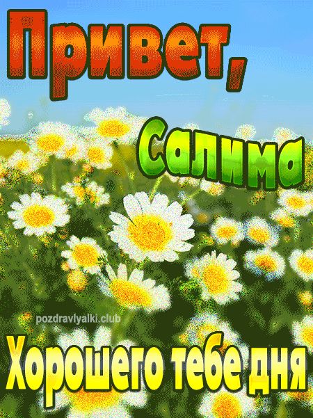 Привет Салима хорошего тебе дня открытка