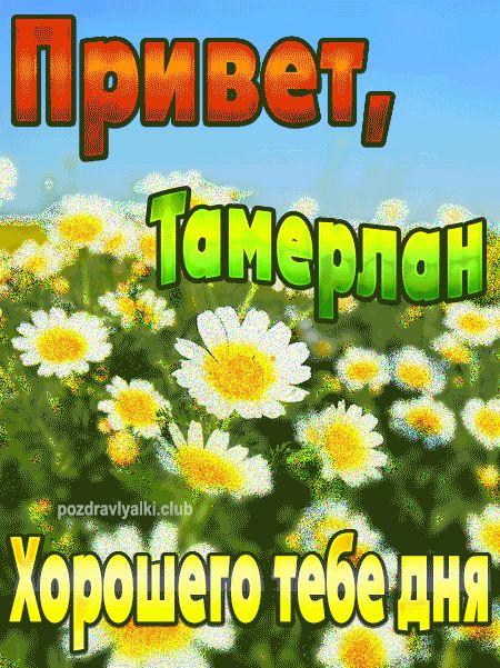Привет Тамерлан хорошего тебе дня открытка