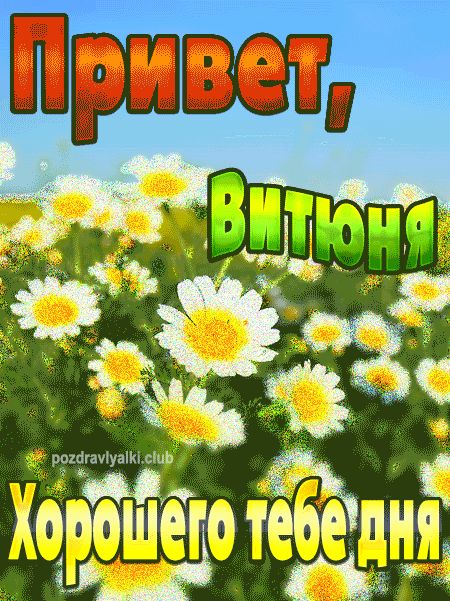 Привет Витюня хорошего тебе дня открытка