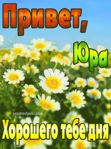 Привет Юра хорошего тебе дня открытка