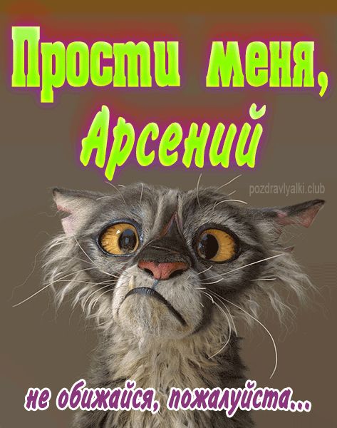 Прости меня Арсений не обижайся пожалуйста