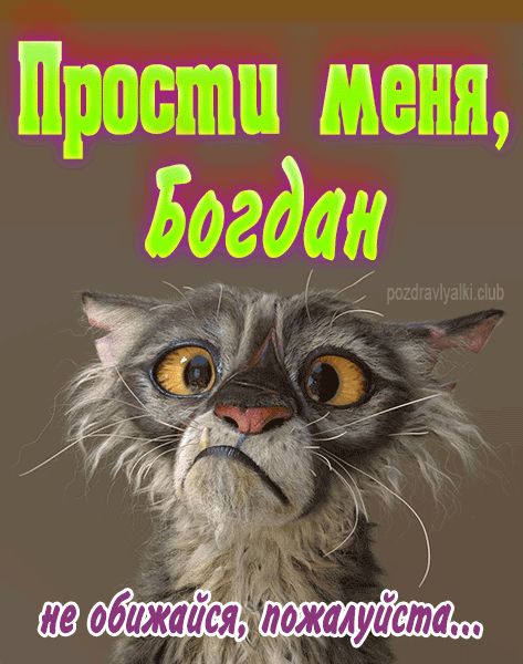 Прости меня Богдан не обижайся пожалуйста