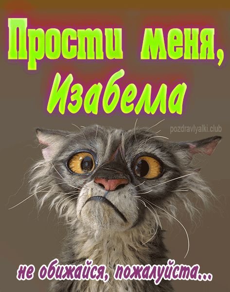 Прости меня Изабелла не обижайся пожалуйста