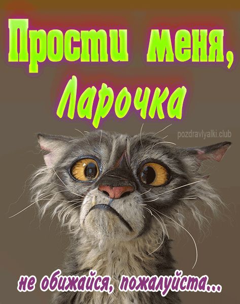 Прости меня Ларочка не обижайся пожалуйста