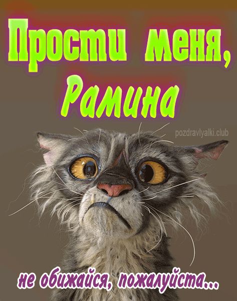 Прости меня Рамина не обижайся пожалуйста