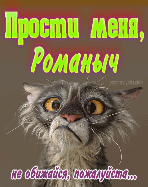 Прости меня Романыч не обижайся пожалуйста