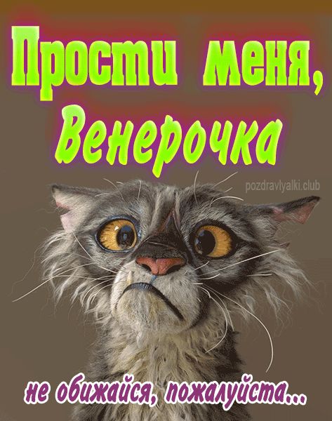 Прости меня Венерочка не обижайся пожалуйста