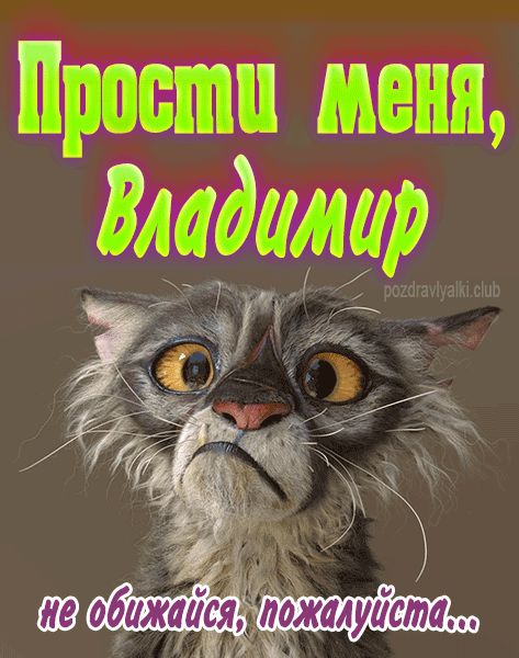 Прости меня Владимир не обижайся пожалуйста