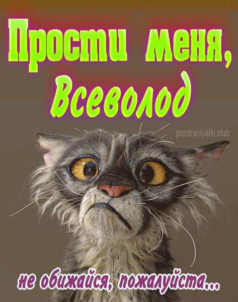 Прости меня Всеволод не обижайся пожалуйста