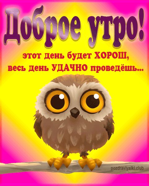 Доброе утро сова прикольная открытка смешная