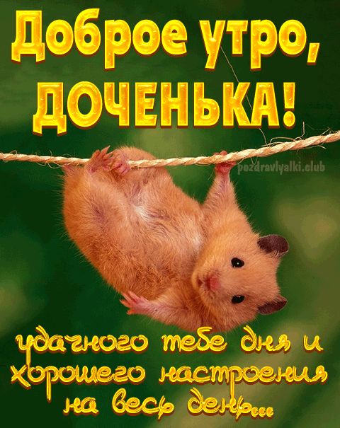 Доброе утро доченька хорошего настроения удачного дня