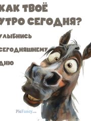 С добрым утром картинка прикольная