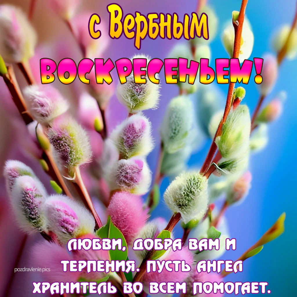 С вербным воскресеньем открытка