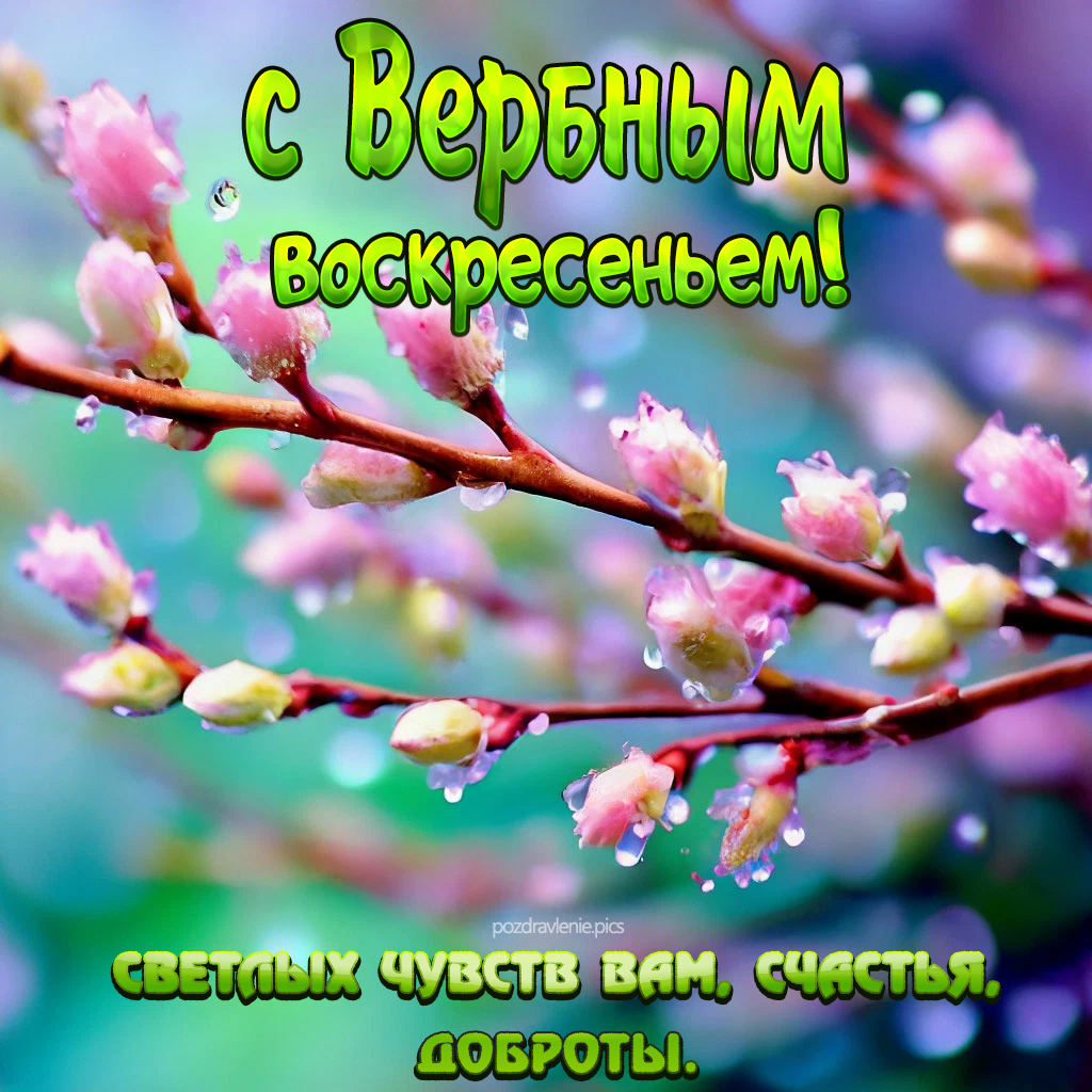 С вербным воскресеньем поздравляю вас