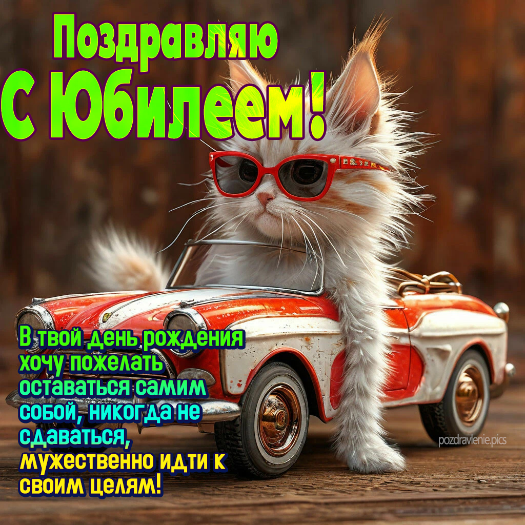 Поздравляю с Юбилеем милая открытка с котиком для мужчины